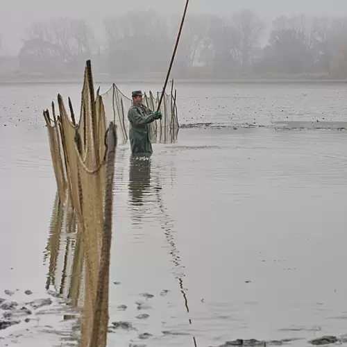 Rojický rybník