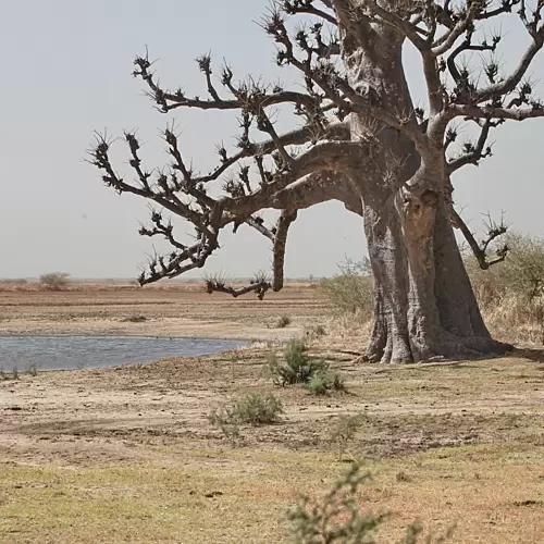 Senegal